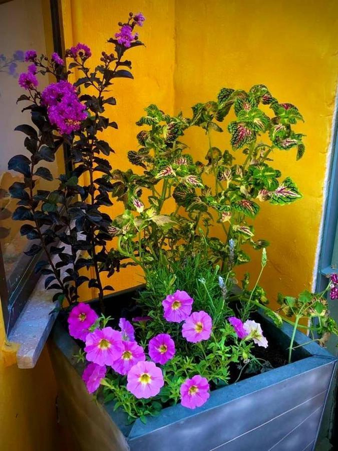 Higos Chumbos, Casa Rural Compartido Chiclana de la Frontera Dış mekan fotoğraf
