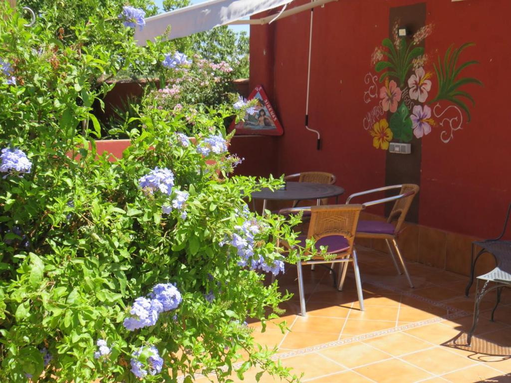Higos Chumbos, Casa Rural Compartido Chiclana de la Frontera Dış mekan fotoğraf