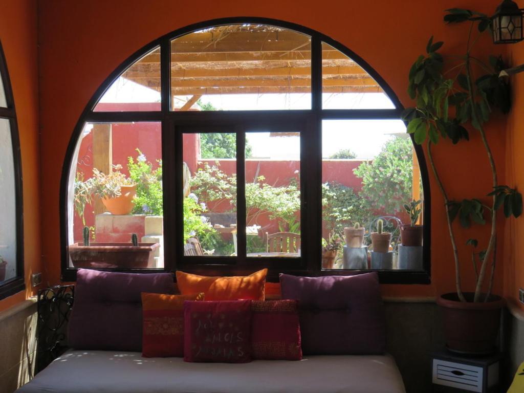 Higos Chumbos, Casa Rural Compartido Chiclana de la Frontera Dış mekan fotoğraf